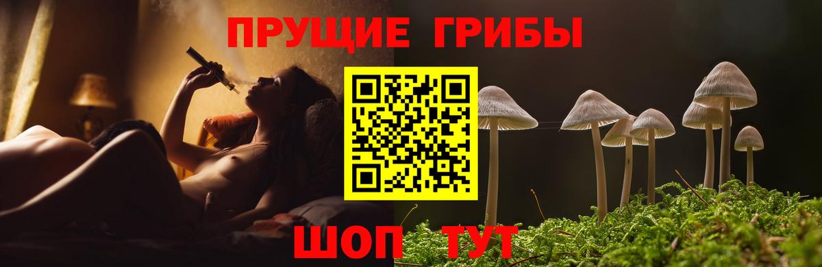 Первоуральск  где продают   Вход с VPN  Псилоцибиновые грибы мухоморы 